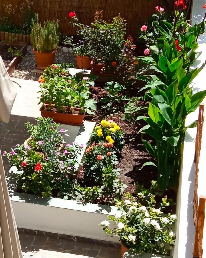 Charming Garden Apartment Rhodes City 객실 사진